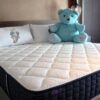 【Matelas 一眠堂】皇家植萃系列 x Classic Teddy特仕版床墊
