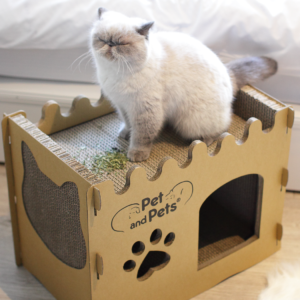 Petique 百嬌客｜半個樓 Bungalow 貓屋