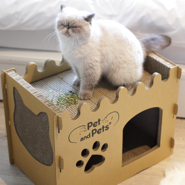 Petique 百嬌客｜半個樓 Bungalow 貓屋