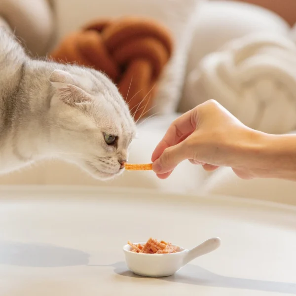 毛孩站起來｜喵大廚 貓咪小零食