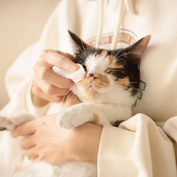 毛孩站起來｜【犬貓通用】寵物除臭抑菌濕紙巾