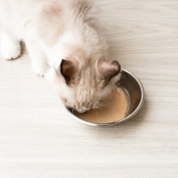 毛孩站起來｜軟罐頭 幼母貓主食餐包