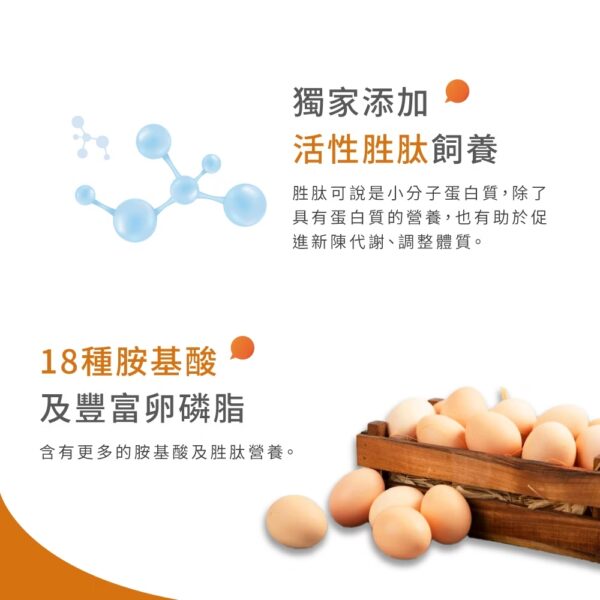 胜肽放山雞蛋-4 肽好生活|胜肽放山雞蛋