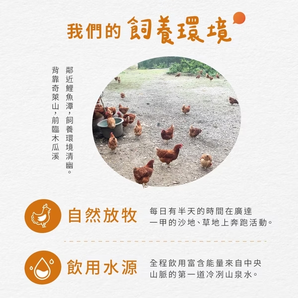 胜肽放山雞蛋_商品2 肽好生活|胜肽放山雞蛋